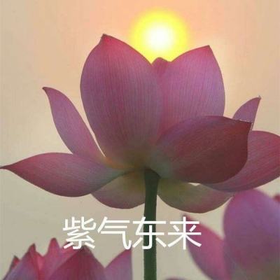 战神荣耀官方版下载